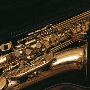 梨花又开放 萨克斯