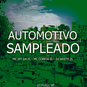 AUTOMOTIVO SAMPLEADO 1.0