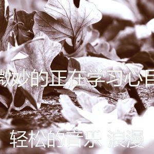 安静的浓度声音