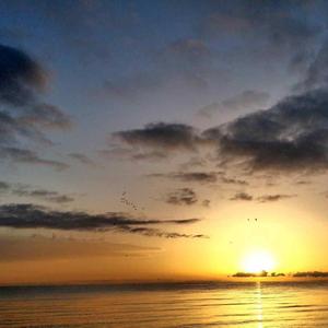 再次看到了希望的晨曦