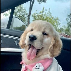 Independent Balling Like A Major #2 (slowed)