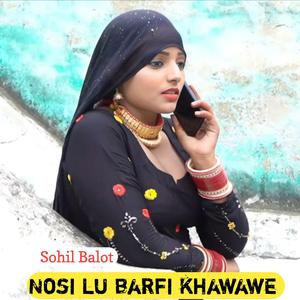 Nosi Lu Barfi Khawade