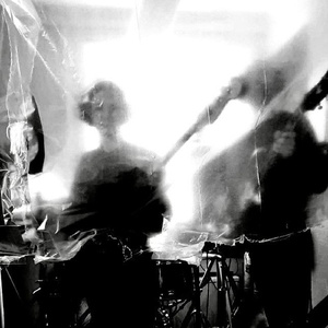 Grisarnas år (Live)