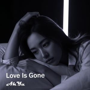 Love Is Gone