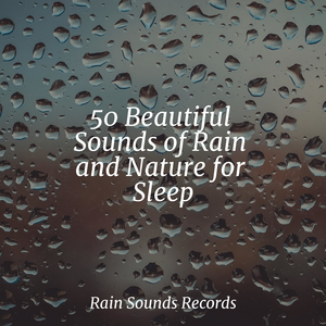 Thundering Ocean Heights