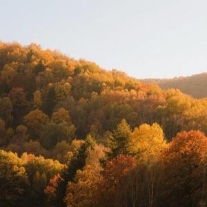 这一别山高路长 (Cover 烟嗓船长)