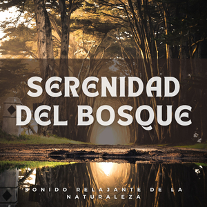 La Oda Nocturna