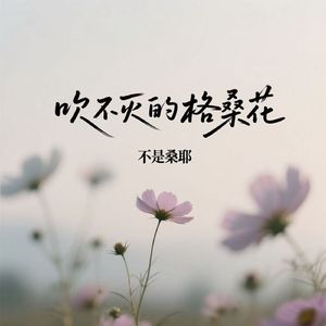 吹不灭的格桑花