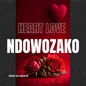 Ndowozako