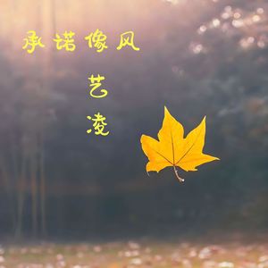 承诺像风 (DJ光波版)