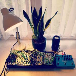 Vriesea