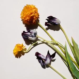 攀登的过程是漫长