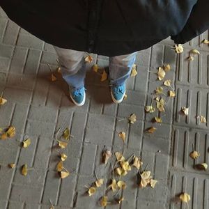 你是蝴蝶我是树叶