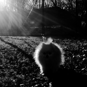 Ничья (Акустика)