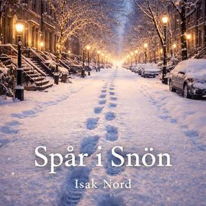Spår i Snön