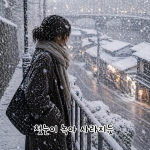 첫눈이 녹아 사라지듯