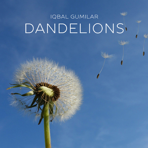Dandelions