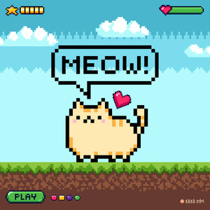 포동포동 고양이