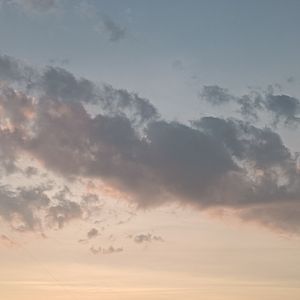 形容（cover呆呆破）