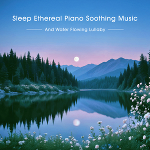 森林钢琴曲 (星空下的潺潺小溪)