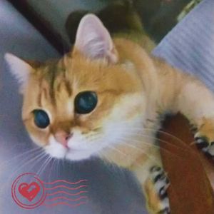 【FREE】happy type beat “圆圈”