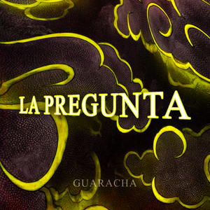 La Pregunta Guaracha