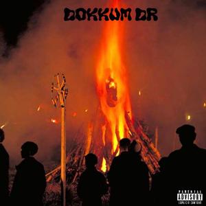 Dokkum Dr