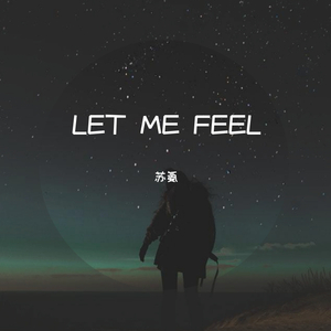 Vicetone-Let Me Feel（苏氨 remix）