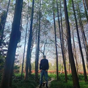 平凡的自由（Demo）