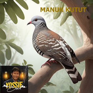 Manuk Kutut