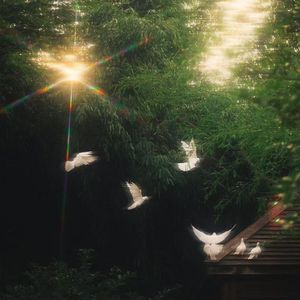 “Sun” 情绪 ×罗言 Capper type beat