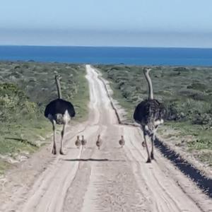 Kom loop saam met my die pad