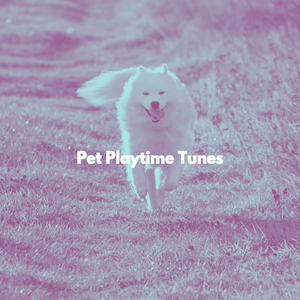 Playful Ambience for Long Drives