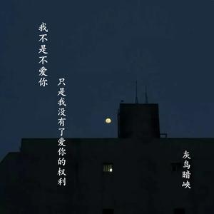 我不是不爱你，只是我没有了爱你的权力