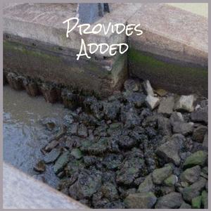 Provides Added