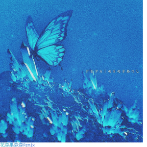 PUPA(花森果森森 remix)