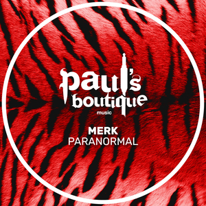 Paranormal (Original Mix)