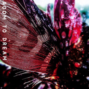 Room to Dream