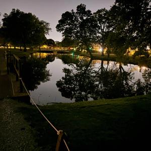 Cry.