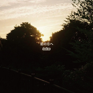 星になれたら