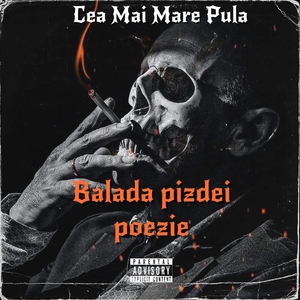 Balada pizdei poezie