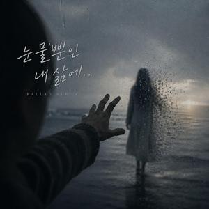 눈물뿐인 내삶에..