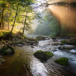 A Slow Return To Peace