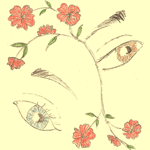 Amapola