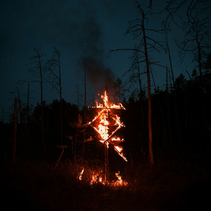 Зверь / The Beast