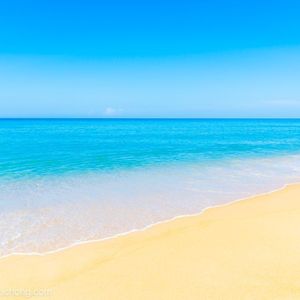 听雨寒更砌 (12)