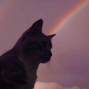 Улетали птицами гордыми