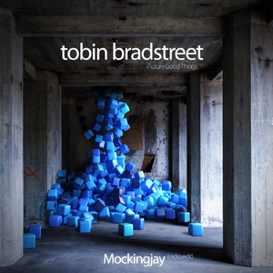 Mockingjay (Radio Edit)