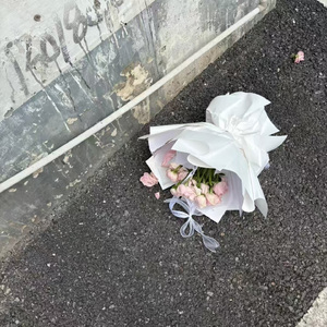 你送我的花散落一地 1.2