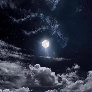 我怕你已走又怕你未至